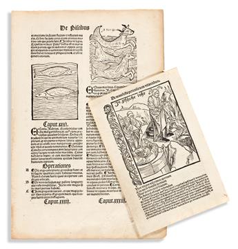 Specimens of Woodcuts and Engravings.